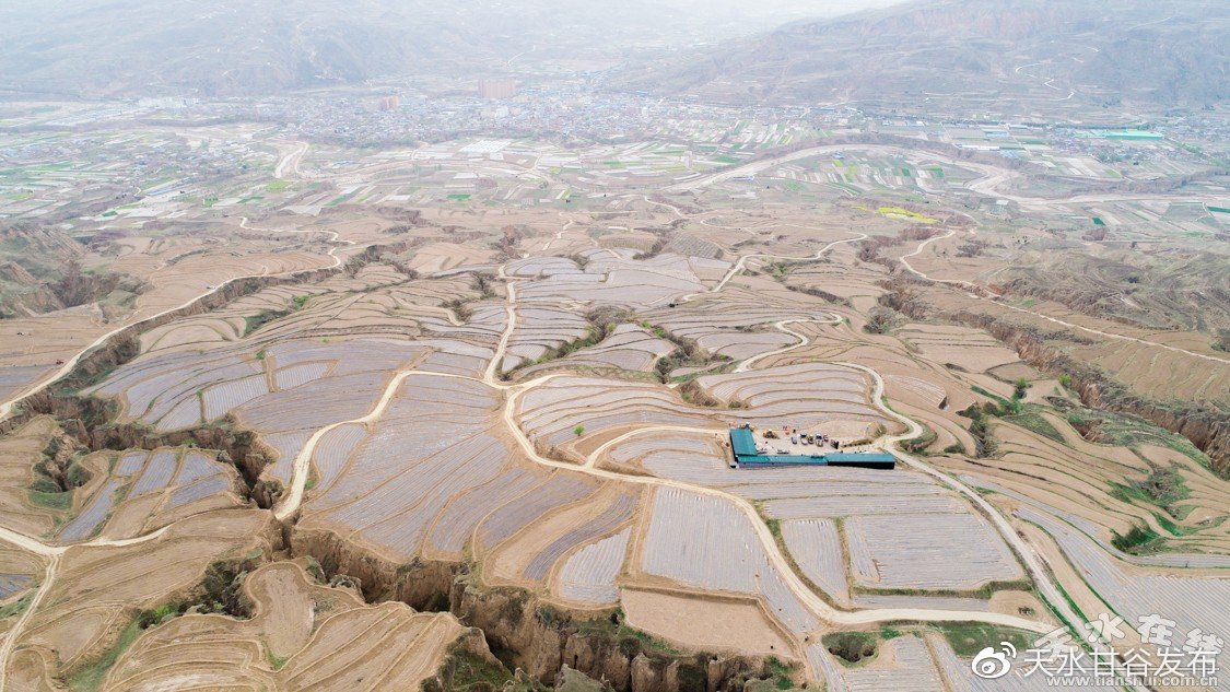 今日头条推广二、 电商运营类（20 个）:一站式解决账号流量与内容优化的实用平台坍塌旅馆靠4瓶水存活女孩谈获救经历
