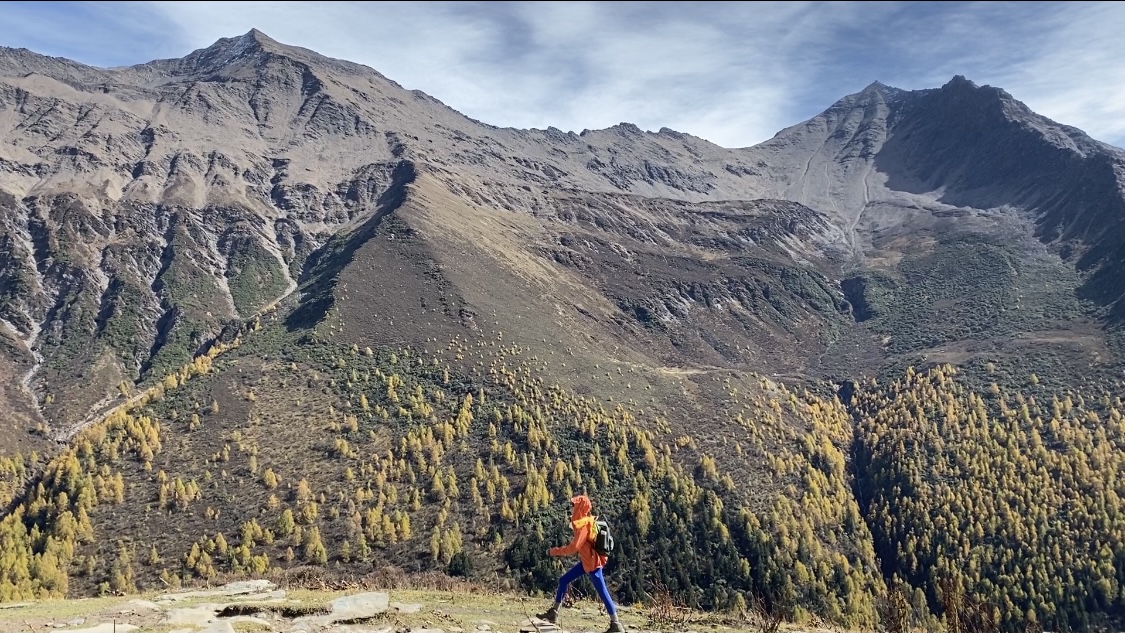 最新精准推广定制化升级您的网络平台:账号批发与笔记推广资源的一站式获取,超低价抖音评论赞自助下单：专业评论获赞服务迅速提升互动量